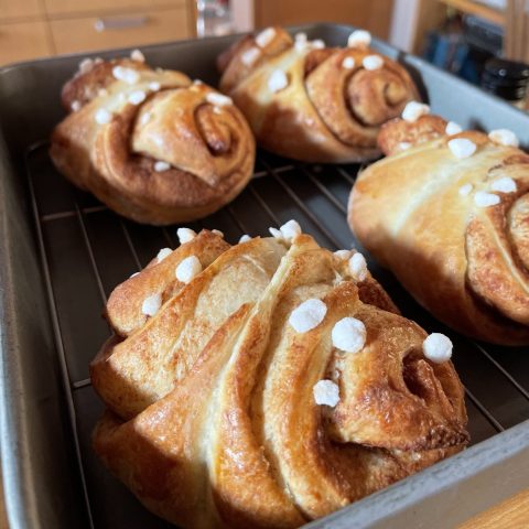 今年も住宅イベント、盛りだくさんです！